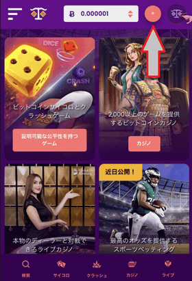トラストダイスの入金方法：トップ画面