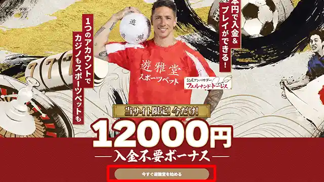 遊雅堂の登録方法：専用プロモーショントップ画面