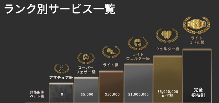 降格条件なしの魅力的なVIPプログラム