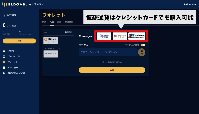 仮想通貨以外の決済方法が使えない
