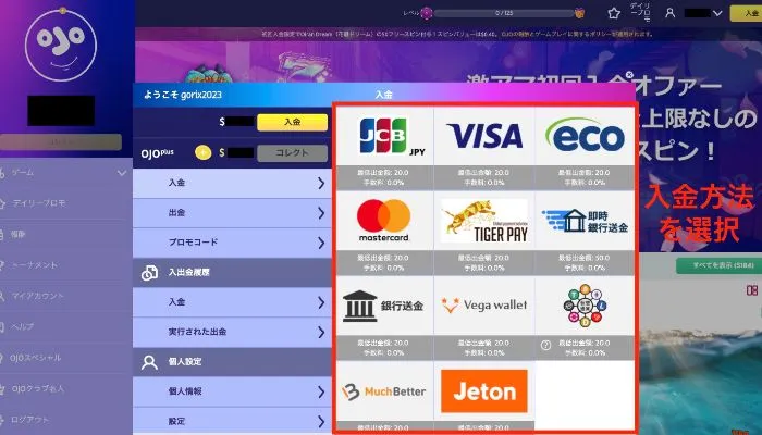 プレイオジョの入金画面